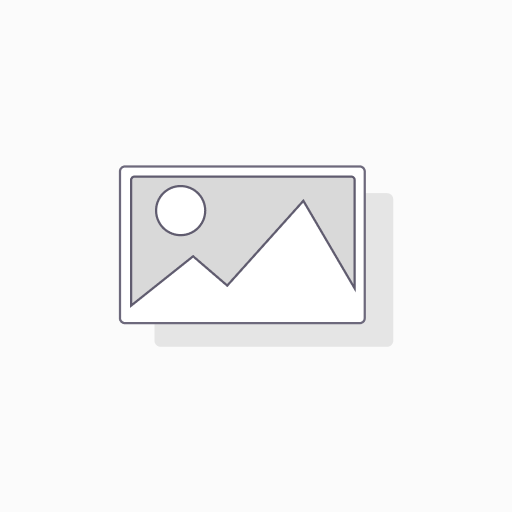Online Kurs